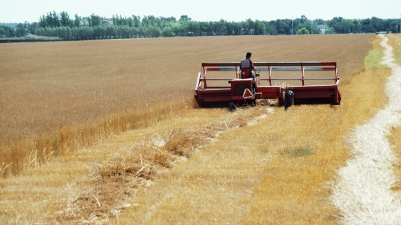 Agri-Uur: Jongste Safex-nuus | News Article