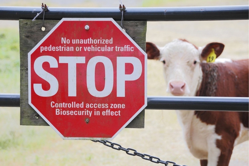 Hier is van jou hoof landboustories op OFM | News Article