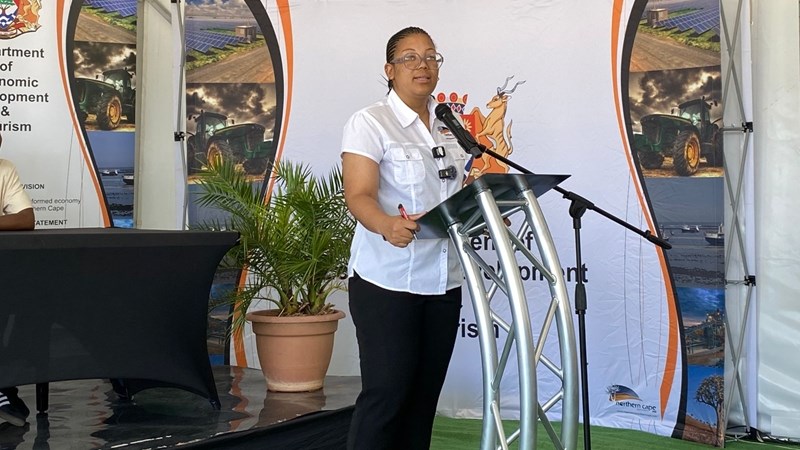 Kimberley Diamond Cup revived Kimberley Diamond Cup revived | News Article