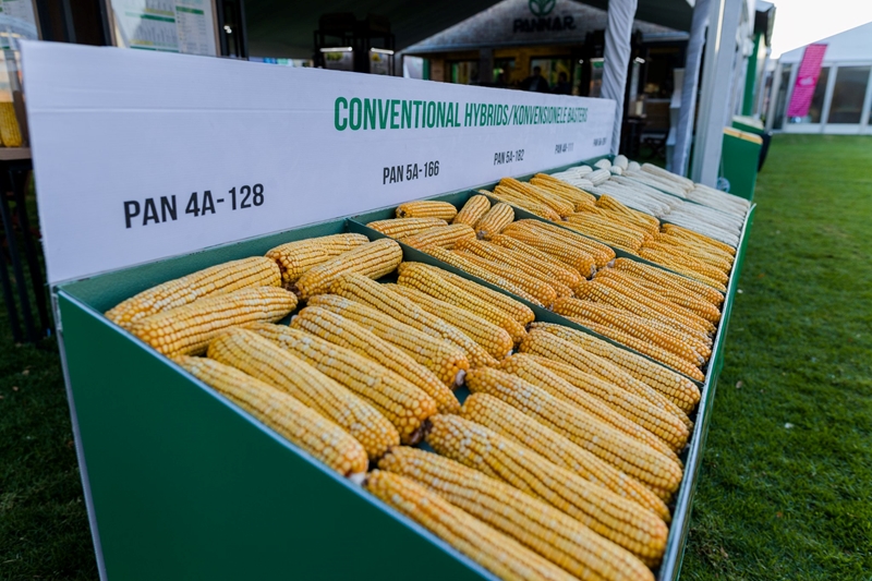 Agri-Uur: Jongste Safex-nuus | News Article