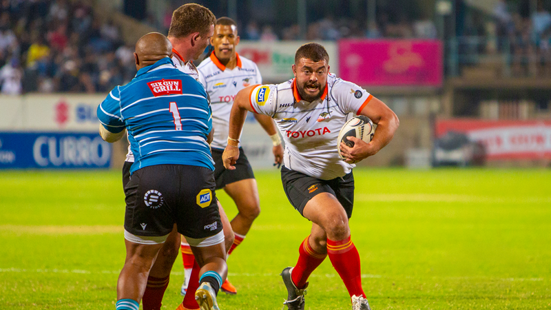 Cheetahs and Shimlas strengthen ties going forward Cheetahs and Shimlas strengthen ties going forward | News Article