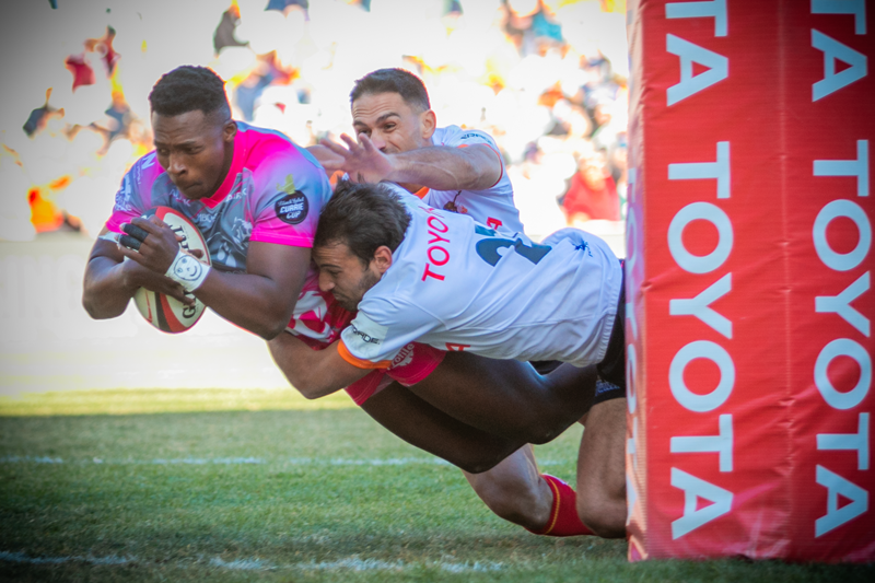 Mgijima and Paulo report for duty at the Cheetahs | News Article
