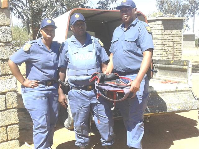 Eleven sheep recovered cramped in a room | News Article