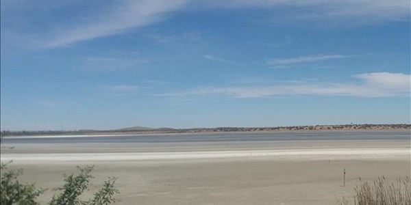 No flamingos at Kamfers Dam No flamingos at Kamfers Dam | News Article