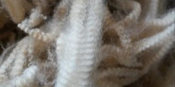 Wool prices up 23% year-on-year | News Article