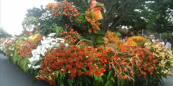 Pictures: Flower Festival in Parys Pictures: Flower Festival in Parys | News Article