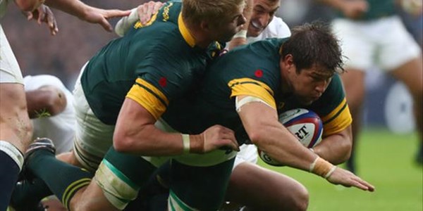 Alberts doubtful for Wales Alberts doubtful for Wales | News Article