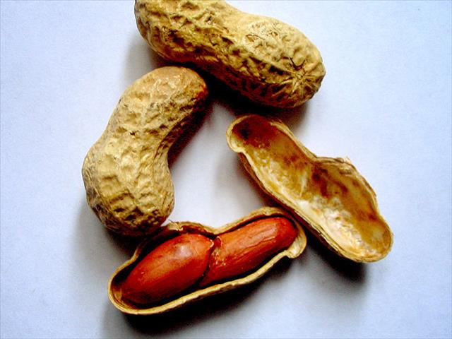 Local groundnuts in demand overseas | News Article