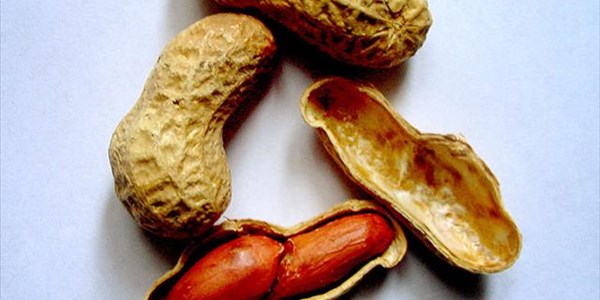 Local groundnuts in demand overseas | News Article