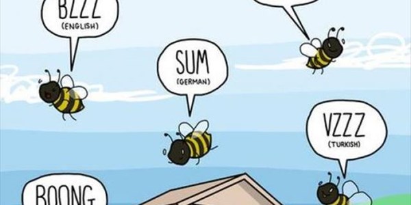 Your Early Morning - (video) Why do animals make different sounds in different languages? Your Early Morning - (video) Why do animals make different sounds in different languages? | News Article