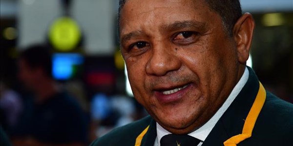 Players, coach report back to SA Rugby on Springbok season | News Article