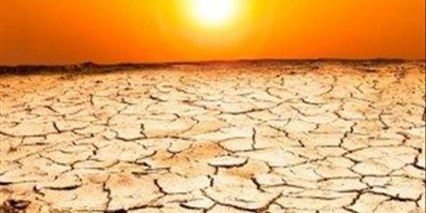 Menige Noordwes-boere gaan steeds gebuk onder droogte, hittetoestande | News Article