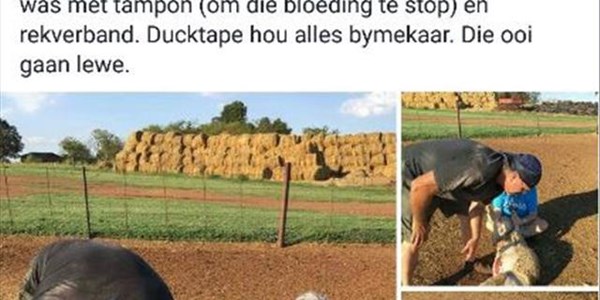 NSPCA accuses Piet Croucamp of animal cruelty NSPCA accuses Piet Croucamp of animal cruelty | News Article