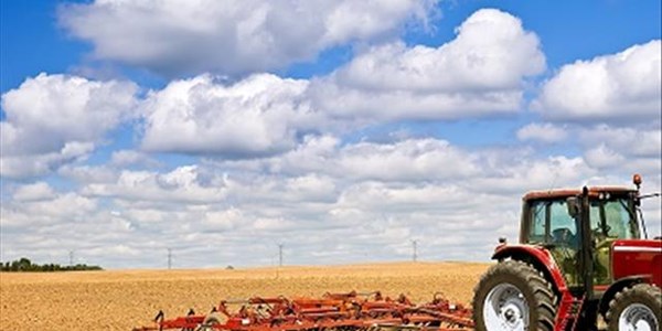 Feature: How drought affected the South African economy Feature: How drought affected the South African economy | News Article