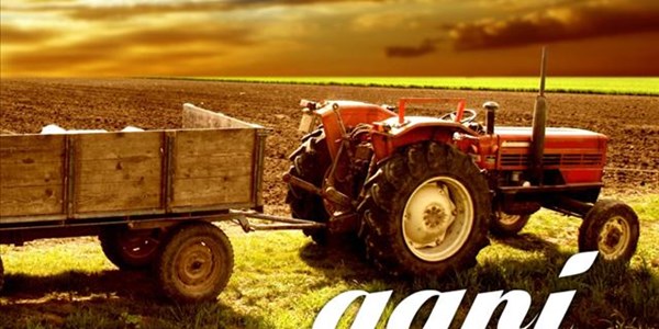 Agriculture news | News Article