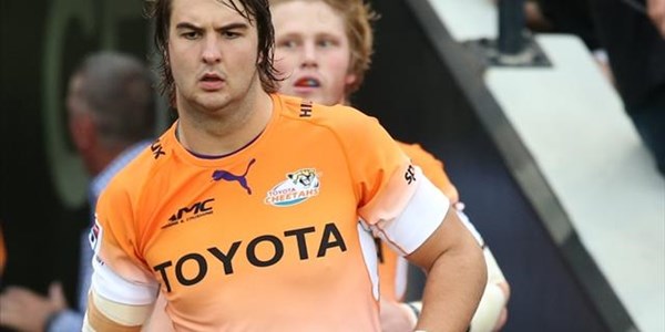 Lood back for the Cheetahs Lood back for the Cheetahs | News Article