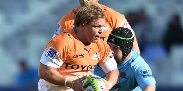 Kings want to improve against Cheetahs | News Article