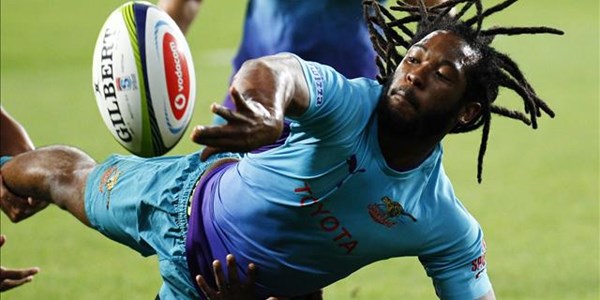 Cheetahs down Kings in wet PE Cheetahs down Kings in wet PE | News Article