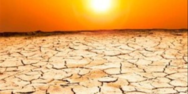 Drought's silver lining is spirit of giving, says charity  | News Article