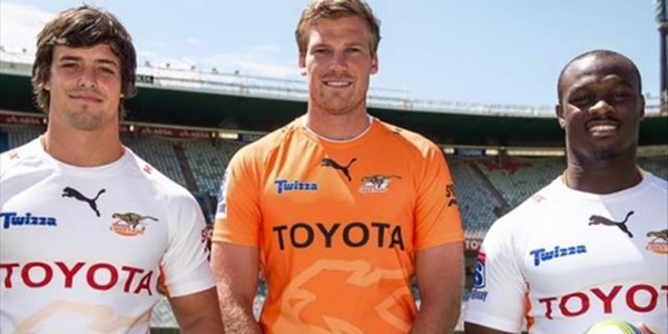 Cheetahs ready for action | News Article