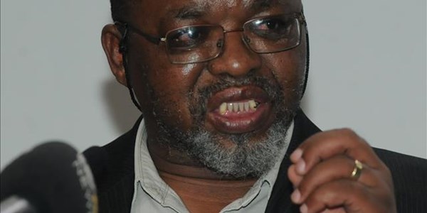 If Guptas were rich white family there would be no noise: Mantashe | News Article
