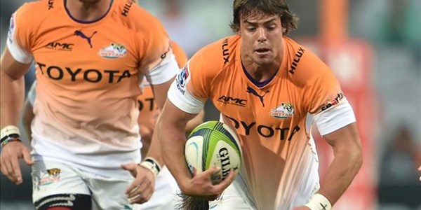 Cheetahs may choose different starting team against Kings | News Article