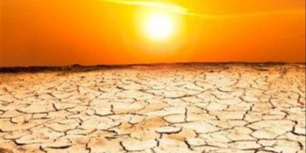 Noord-Kaapse droogte knou veeboere | News Article