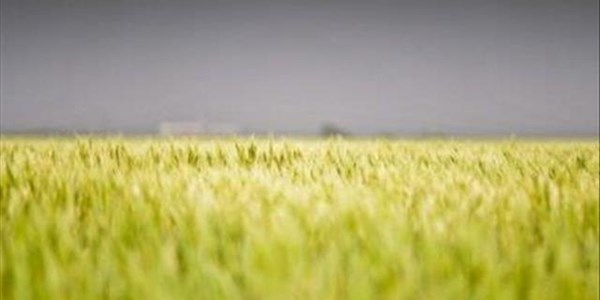 LUR vir Toerisme het groot planne in Vrystaat LUR vir Toerisme het groot planne in Vrystaat | News Article