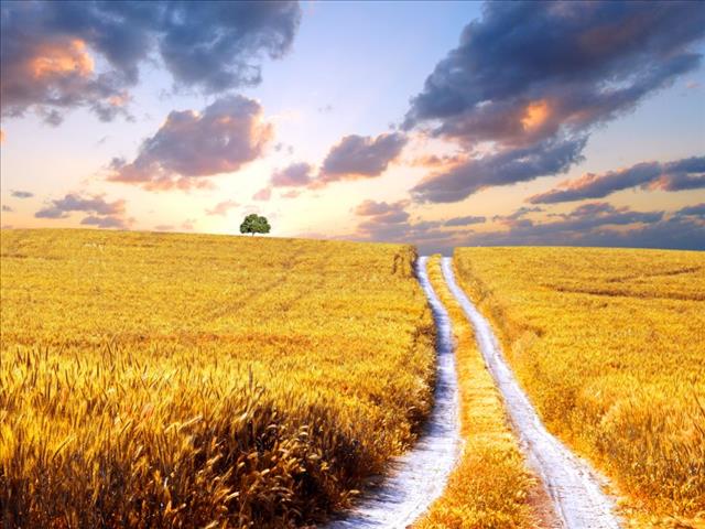 Konferensie wil jongboere in staat stel om land te verbeter | News Article