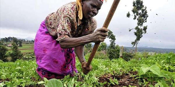 Agri research key to ending poverty and hunger | News Article