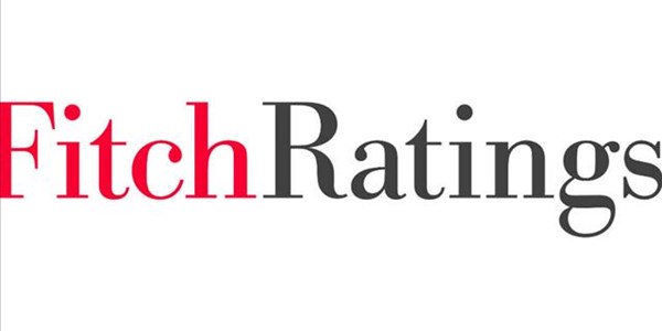 Fitch warns on private sector forex debt | News Article