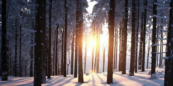 According to André: En toe was dit winter According to André: En toe was dit winter | News Article