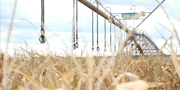 Landboutegnologie verbeter bykans daagliks om produsente te help Landboutegnologie verbeter bykans daagliks om produsente te help | News Article