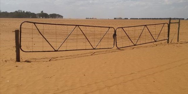 Four SADC nations declare drought disasters | News Article