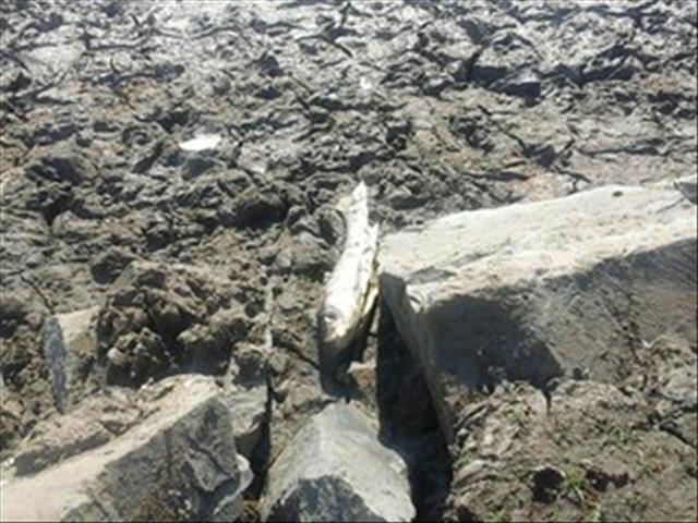 Businesses in Kroonstad suffering as a result of water crisis | News Article