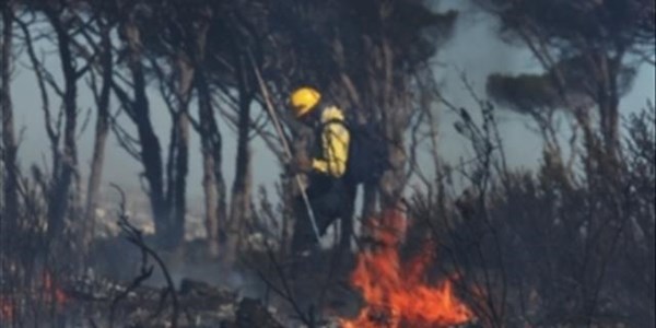 Hundreds of SA firefighters to assist with Canadian wildfires | News Article