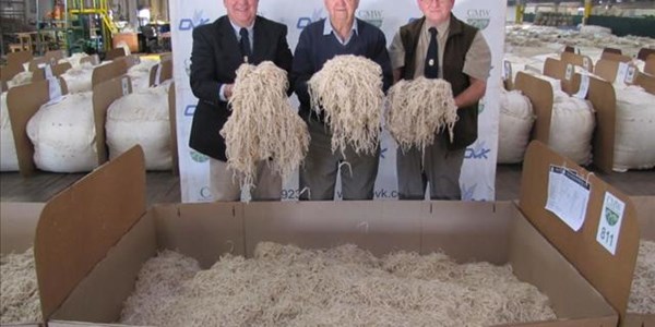 Mohair world record price smashed Mohair world record price smashed | News Article