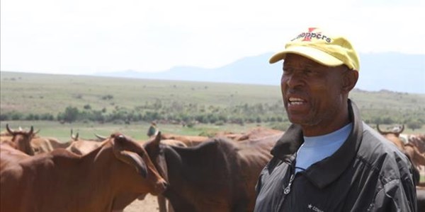 Entries open for 2016 Toyota New Harvest of the Year competition Entries open for 2016 Toyota New Harvest of the Year competition | News Article
