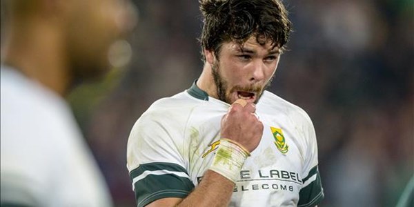 Kriel excited at Bok opportunity | News Article