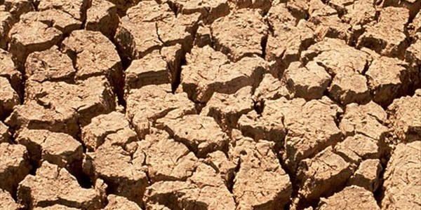Renewed appeal for drought aid for farmers | News Article