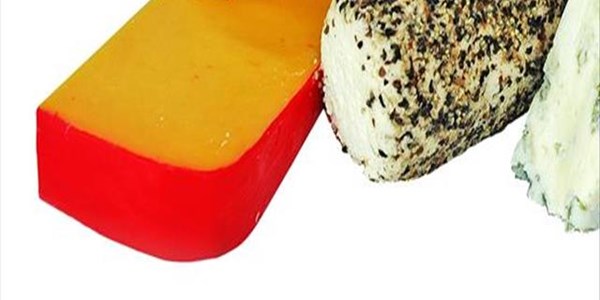 Cheese found to stimulate drug-like euphoria Cheese found to stimulate drug-like euphoria | News Article