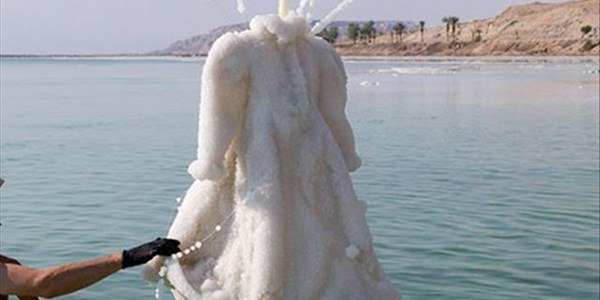 Artist turns boring dress into crystal masterpiece Artist turns boring dress into crystal masterpiece | News Article