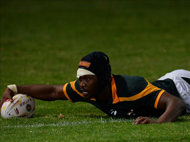 Cheetahs sign Junior Pokomela | News Article