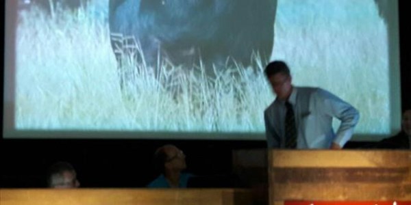 Buffalo will 'generate hype and attention from all over' - CEO Buffalo will 'generate hype and attention from all over' - CEO | News Article