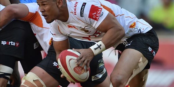 FS Cheetahs secure home semi | News Article