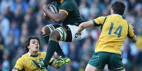 Mohoje doesn't want to focus on possible Bok captaincy | News Article