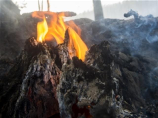Dozens die as wildfires ravage Portugal and Spain