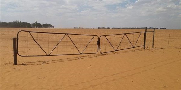 'Boere moet elke sent van droogtehulp kry'  | News Article
