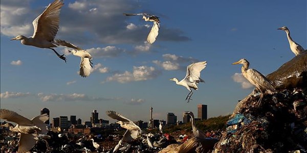 Sol Plaatje opens R28 million landfill complex | News Article