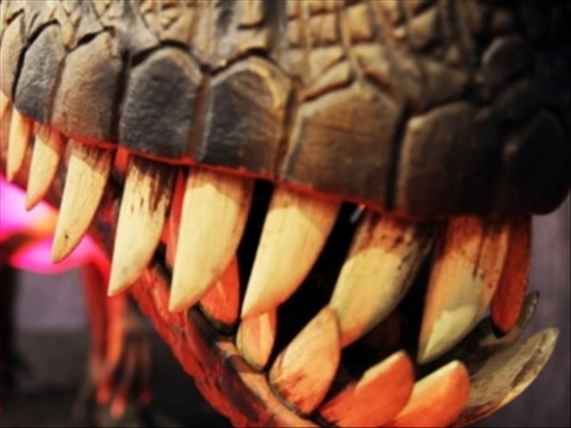 UCT-led team makes new dinosaur discovery in Lesotho | News Article